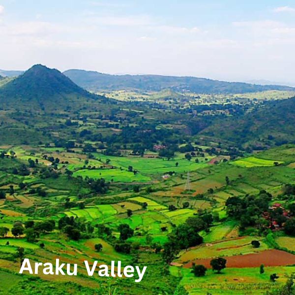 Araku Valley